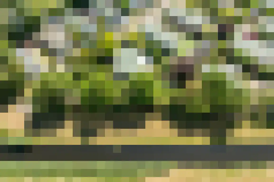 De Goede Ree 46 Goedereede thumbnail 50
