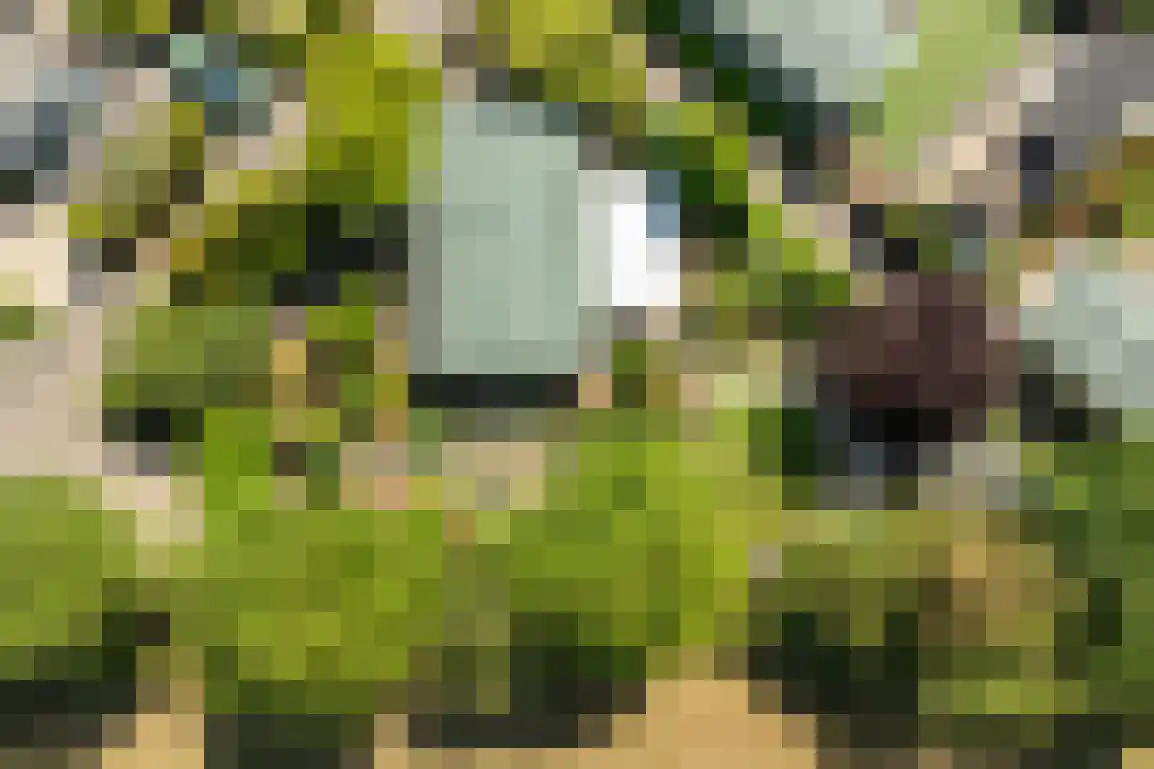 De Goede Ree 46 Goedereede thumbnail 51