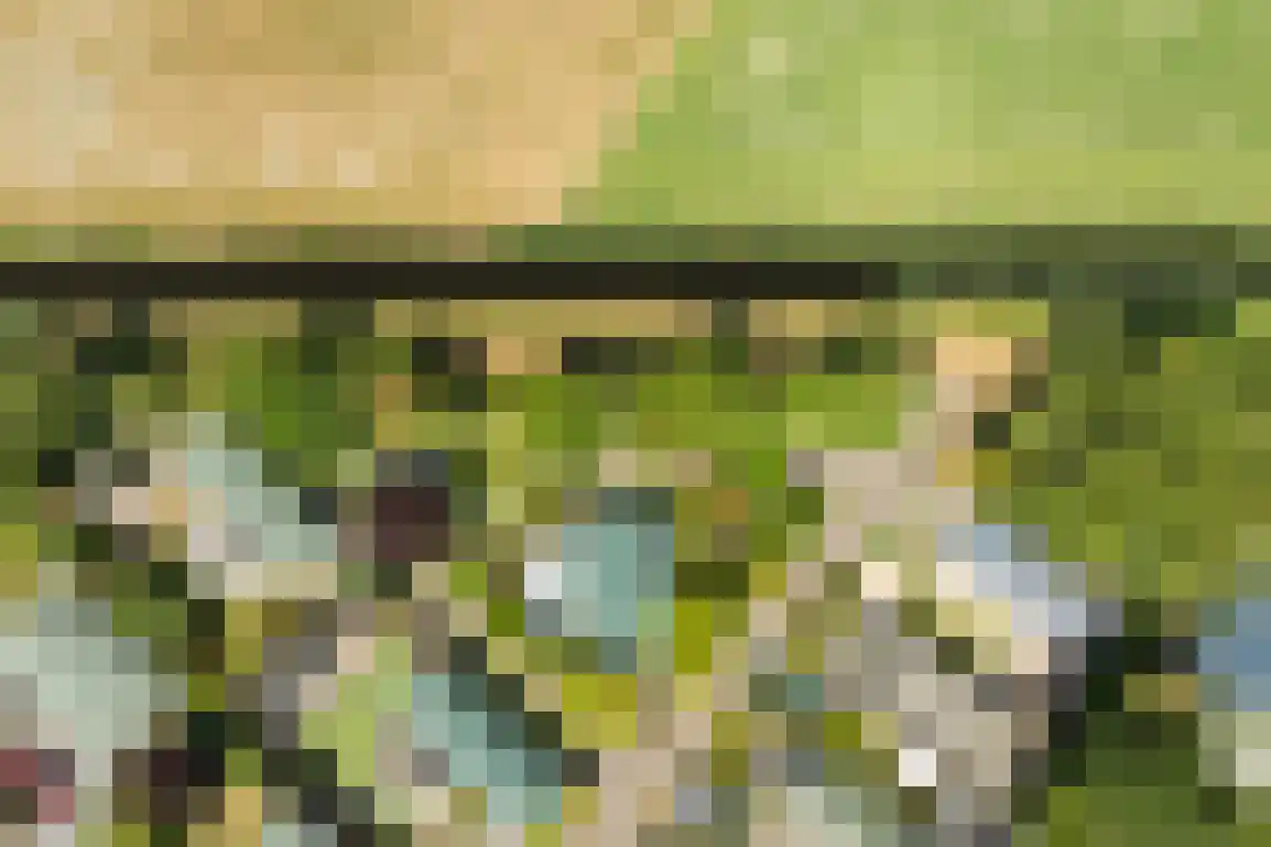 De Goede Ree 46 Goedereede thumbnail 52