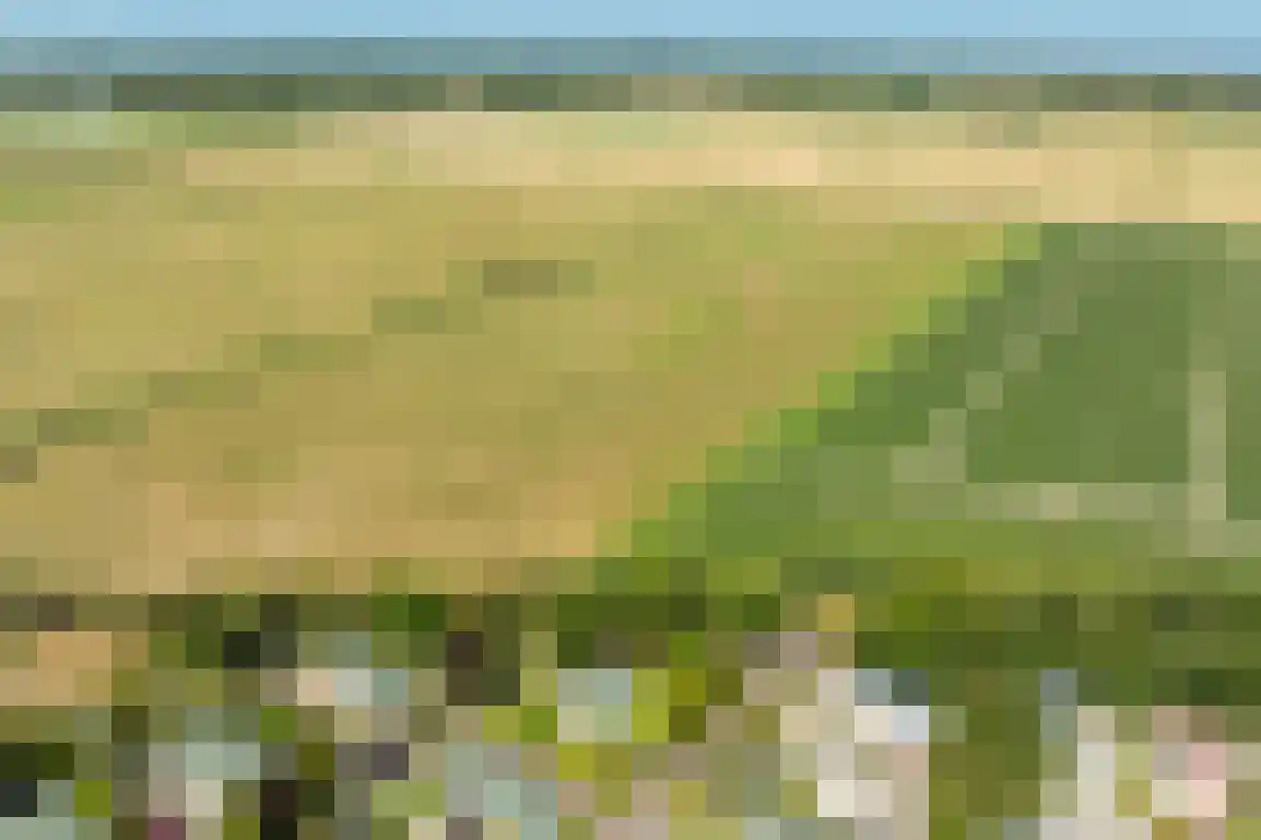 De Goede Ree 46 Goedereede thumbnail 53