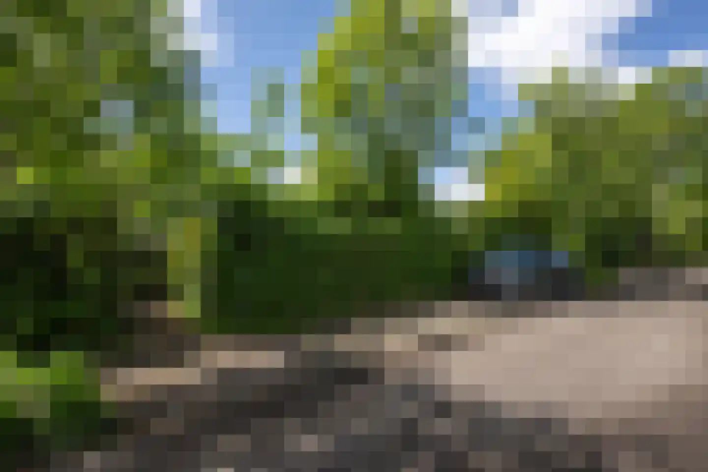 De Goede Ree 53 Goedereede thumbnail 20