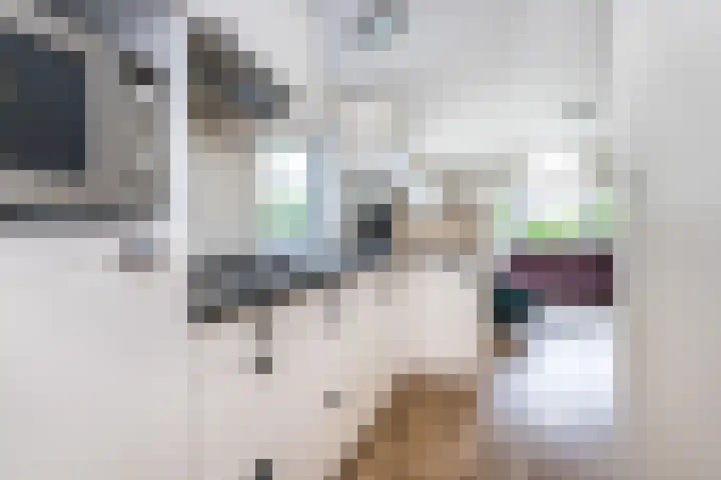 De Goede Ree 53 Goedereede thumbnail 8