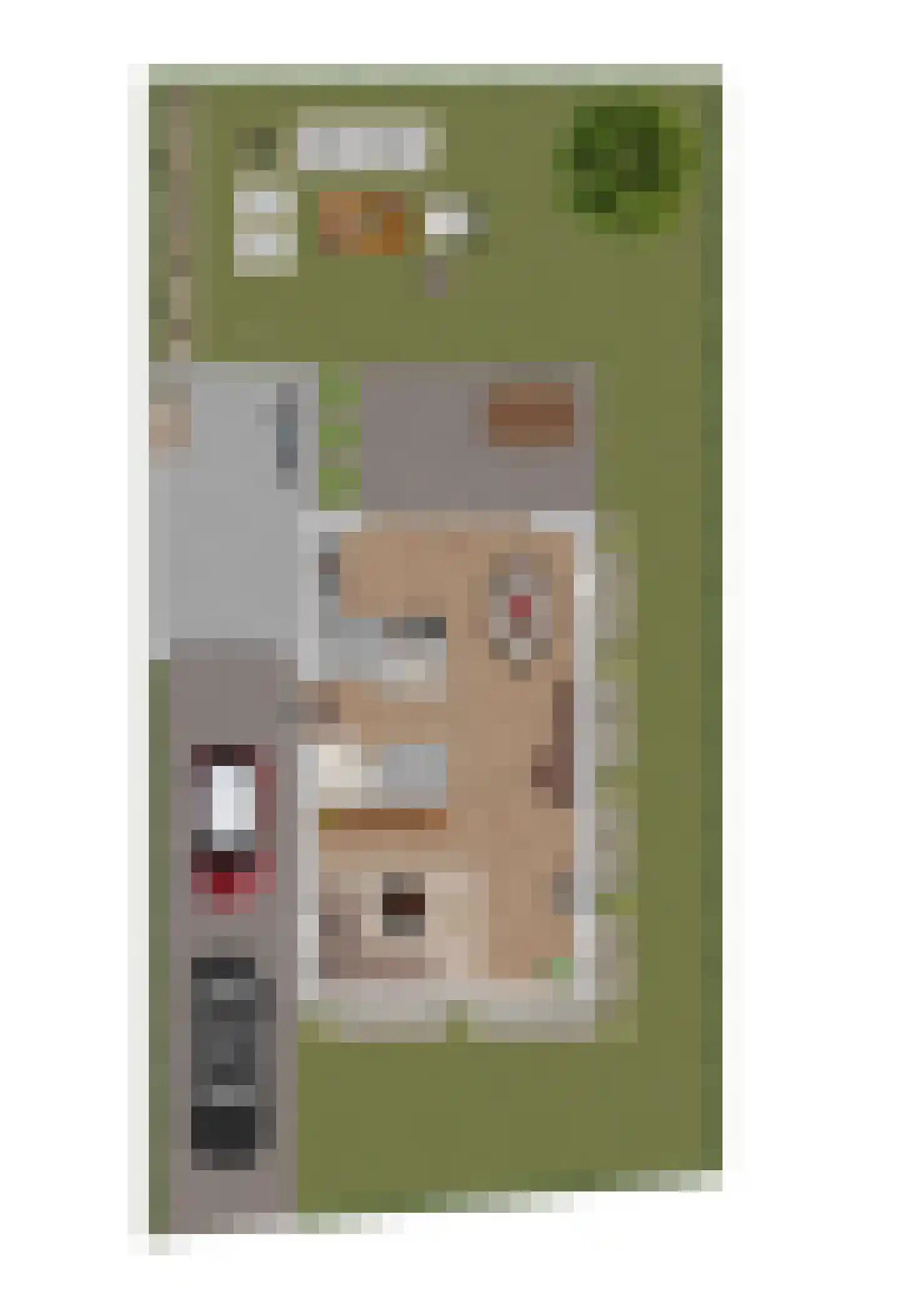 De Goede Woning Nijkerkerveen thumbnail 4
