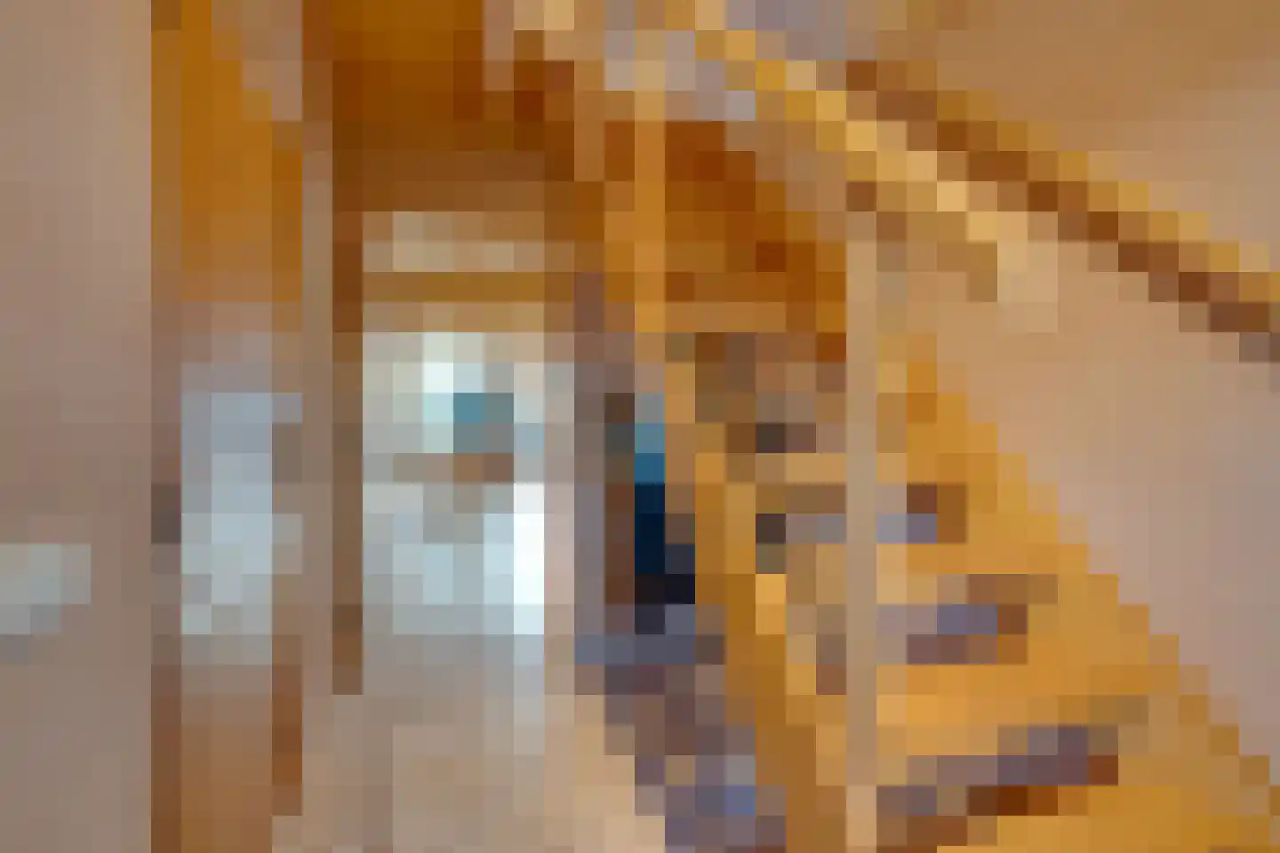De Goedemeent 20 Purmerend thumbnail 15