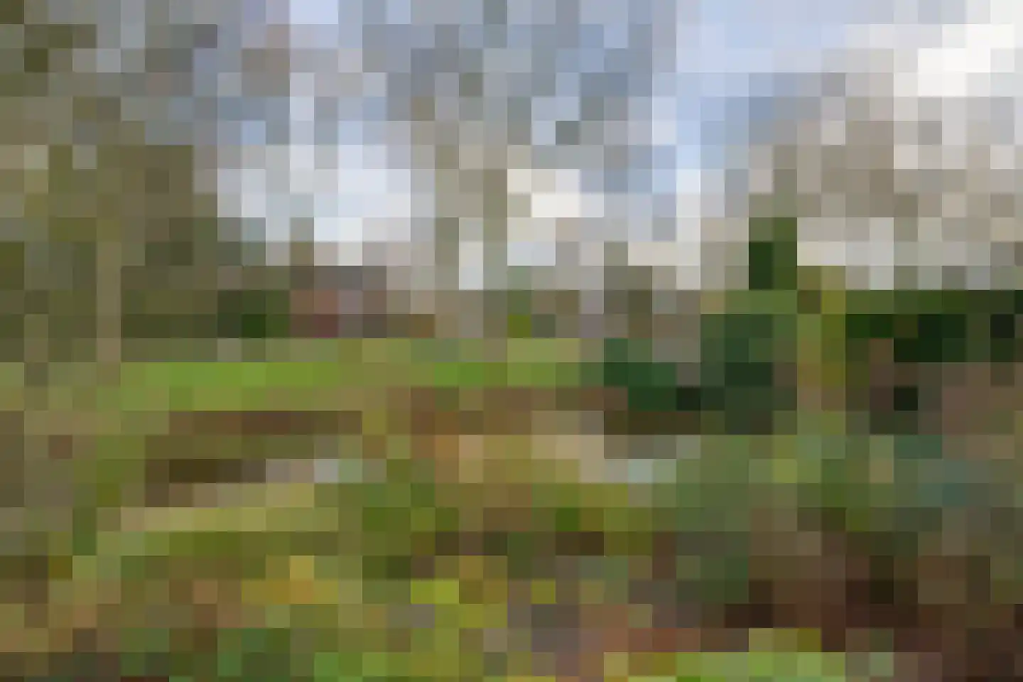 De Goedemeent 20 Purmerend thumbnail 46