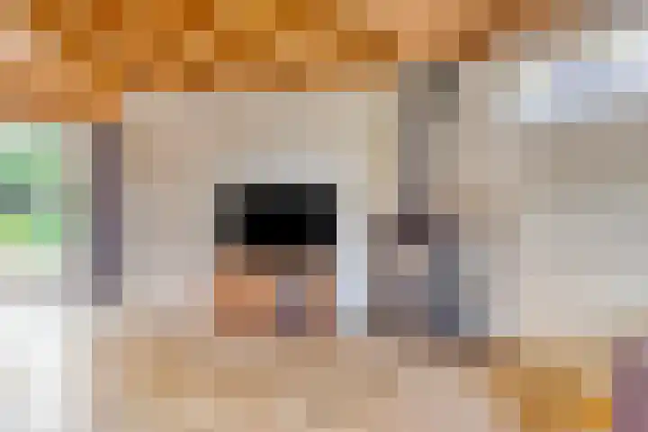 De Goedemeent 6 Purmerend thumbnail 12