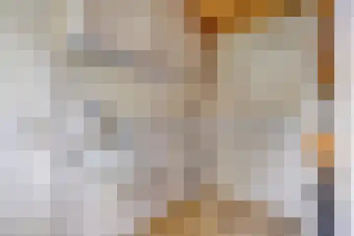 De Goedemeent 6 Purmerend thumbnail 17