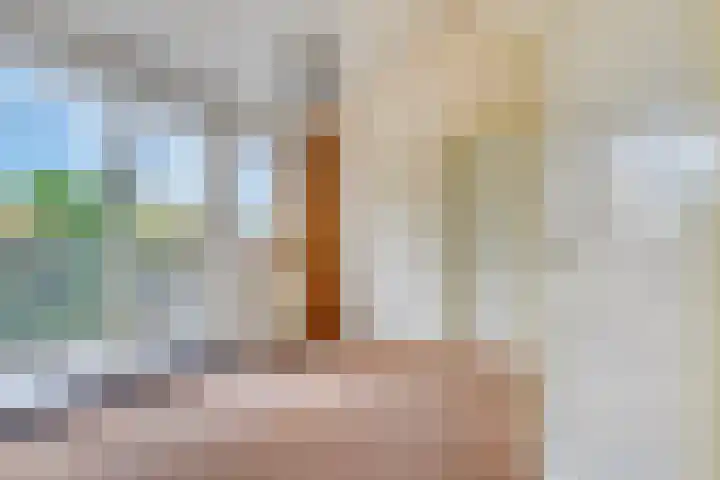 De Goedemeent 6 Purmerend thumbnail 30