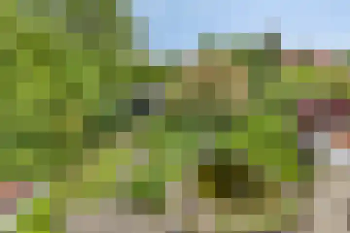 De Goedemeent 6 Purmerend thumbnail 34
