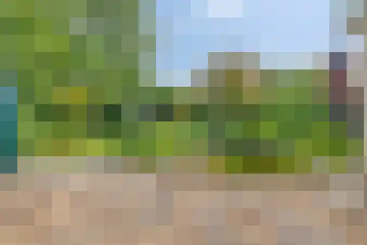 De Goedemeent 6 Purmerend thumbnail 35