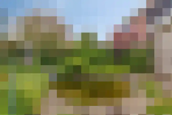 De Goedemeent 6 Purmerend thumbnail 36