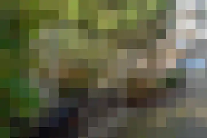 De Goeijenlaan 36 Arnhem thumbnail 39
