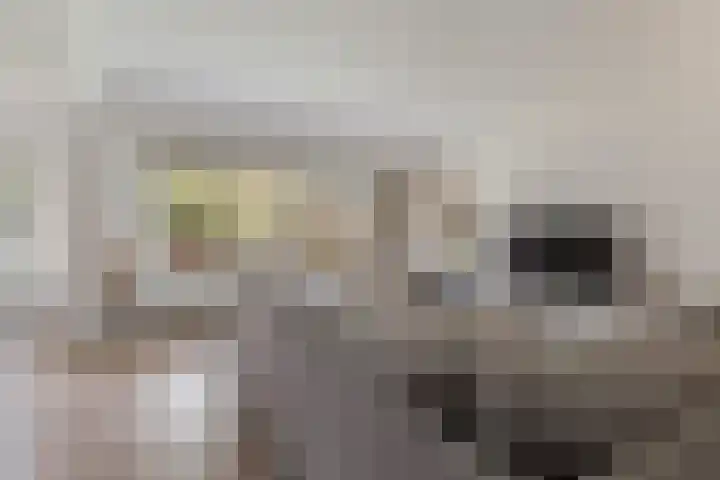 De Goeijenlaan 36 Arnhem thumbnail 4