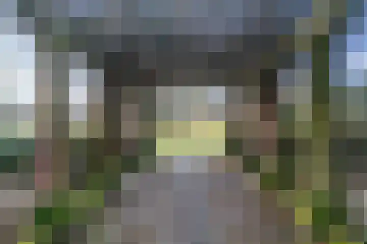 De Goeijenlaan 36 Arnhem thumbnail 45