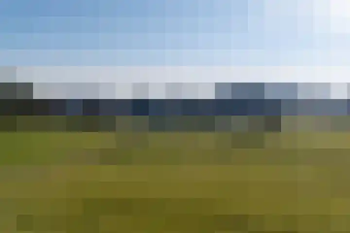 De Goeijenlaan 36 Arnhem thumbnail 51