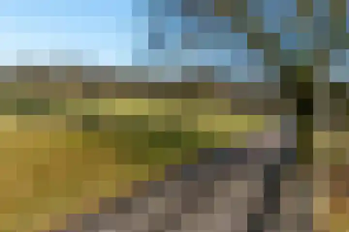 De Goeijenlaan 36 Arnhem thumbnail 52