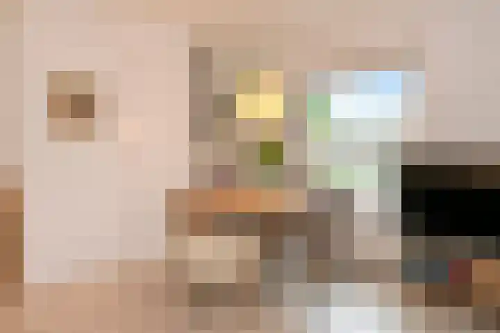 De Goeijenlaan 46 Arnhem thumbnail 10