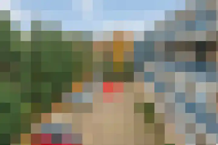 De Goeijenlaan 46 Arnhem thumbnail 22