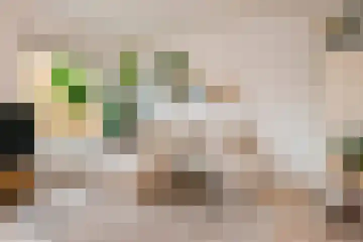 De Goeijenlaan 46 Arnhem thumbnail 8