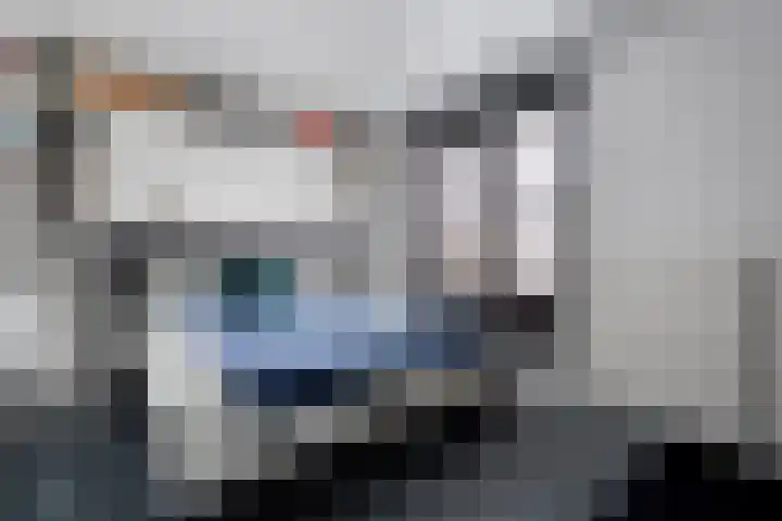 De Goeijenmarke 11 Zwolle thumbnail 15