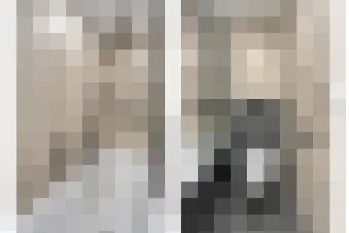 De Goeijenmarke 11 Zwolle thumbnail 22