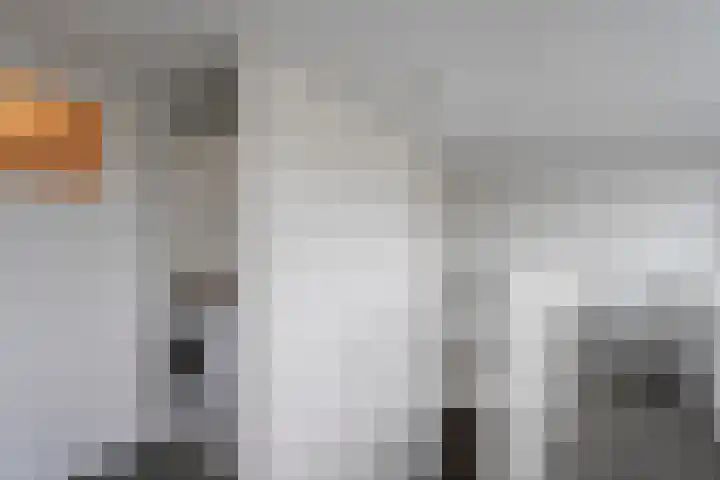 De Goeijenmarke 11 Zwolle thumbnail 25