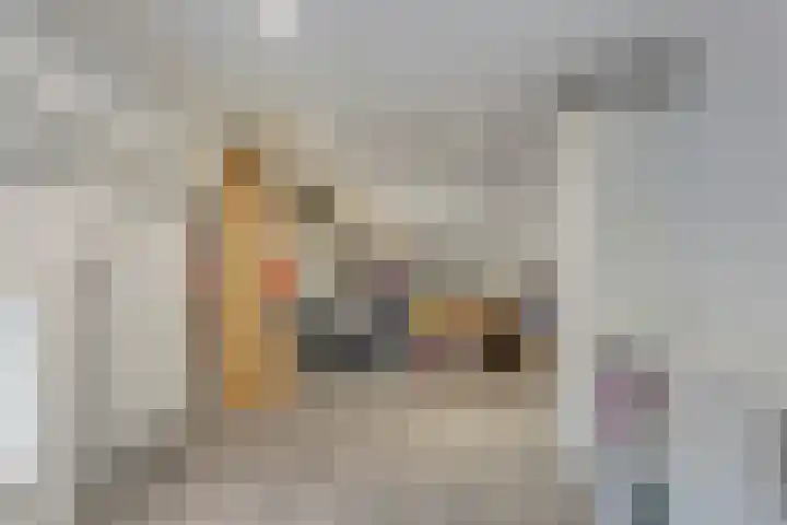 De Goeijenmarke 11 Zwolle thumbnail 28