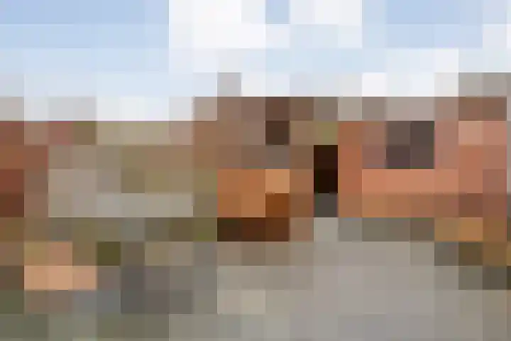 De Goeijenmarke 11 Zwolle thumbnail 30