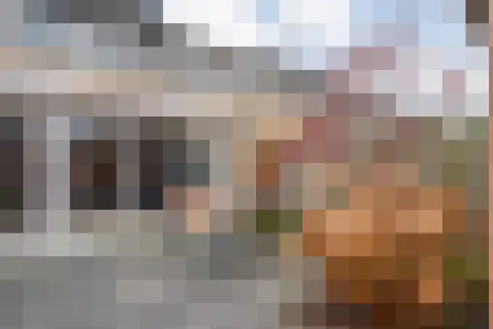 De Goeijenmarke 11 Zwolle thumbnail 33
