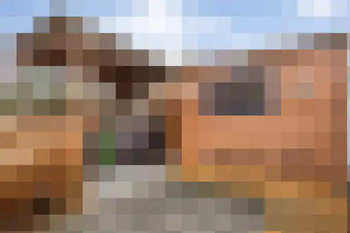 De Goeijenmarke 11 Zwolle thumbnail 35