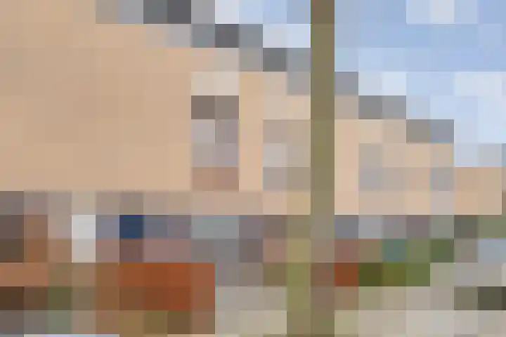 De Goeijenmarke 11 Zwolle thumbnail 38