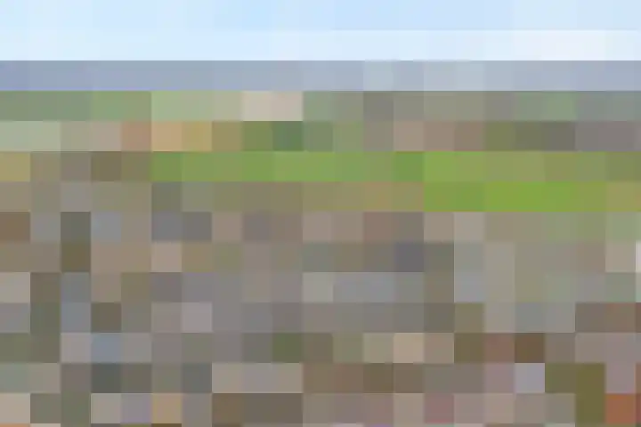De Goeijenmarke 11 Zwolle thumbnail 42