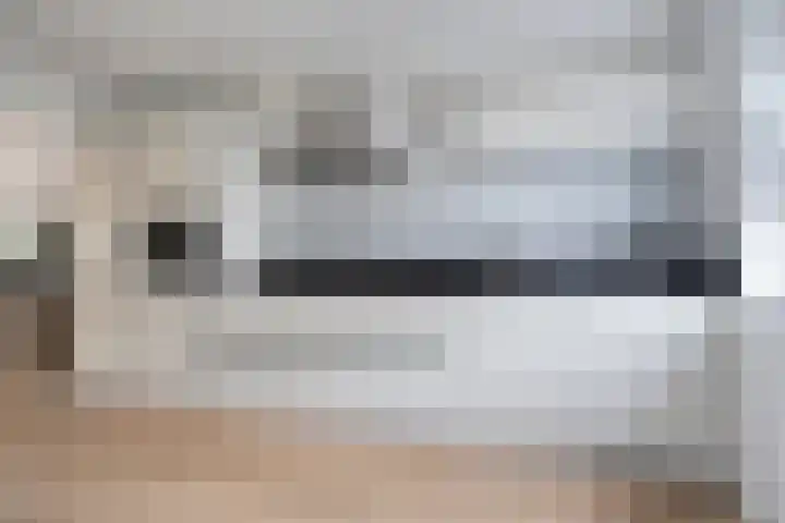 De Goeijenmarke 11 Zwolle thumbnail 9