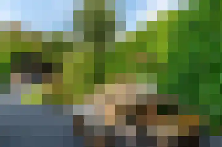 De Goeijenmarke 56 Zwolle thumbnail 32