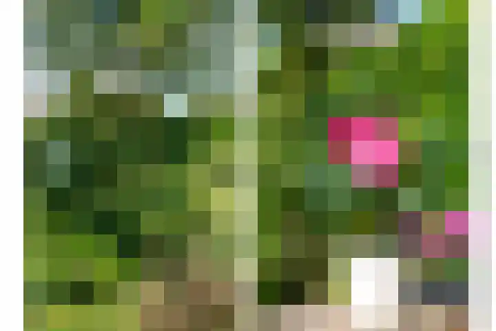 De Goeijenmarke 56 Zwolle thumbnail 33