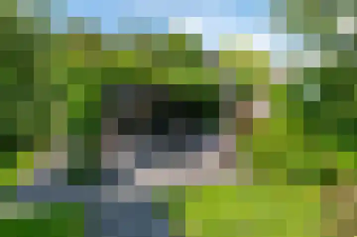 De Goeijenmarke 56 Zwolle thumbnail 34