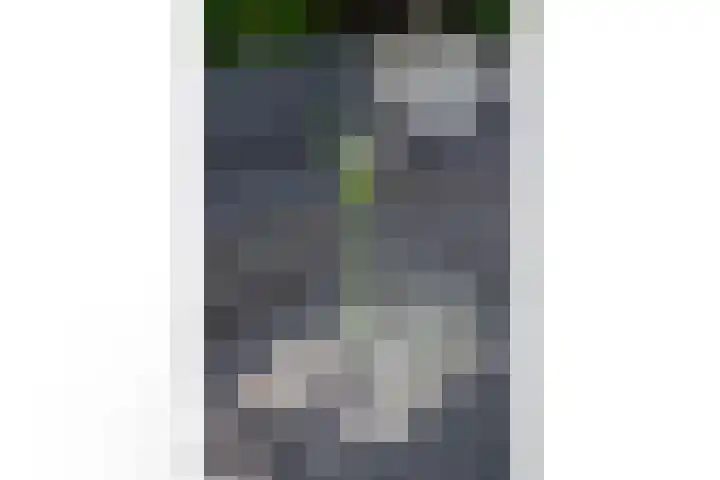 De Goeijenmarke 56 Zwolle thumbnail 37