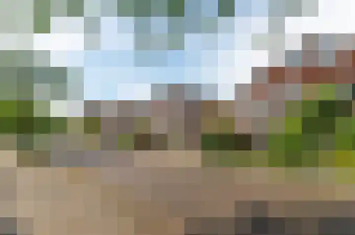 De Goeijenmarke 56 Zwolle thumbnail 42
