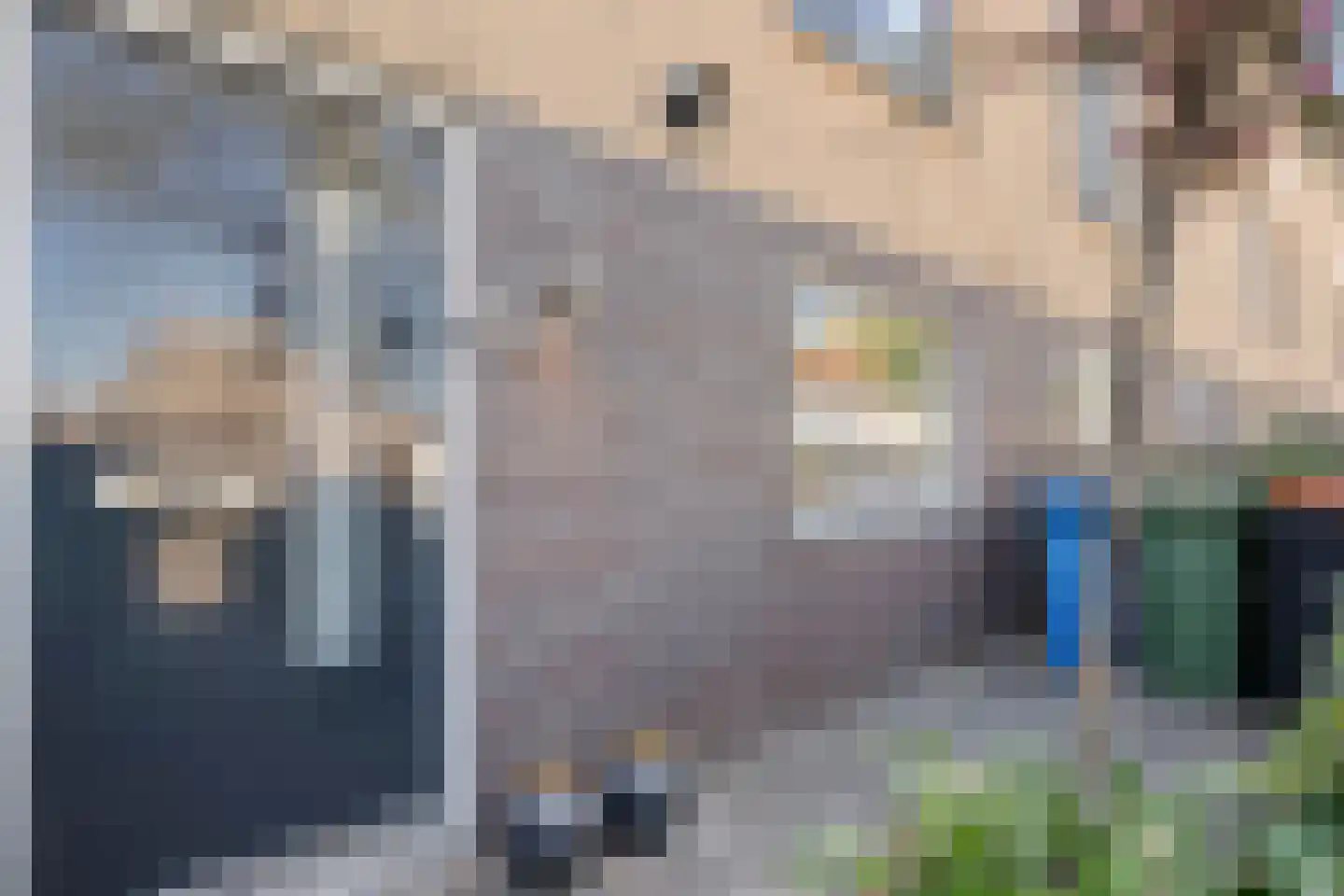 De Goeijenmarke 57 Zwolle thumbnail 4