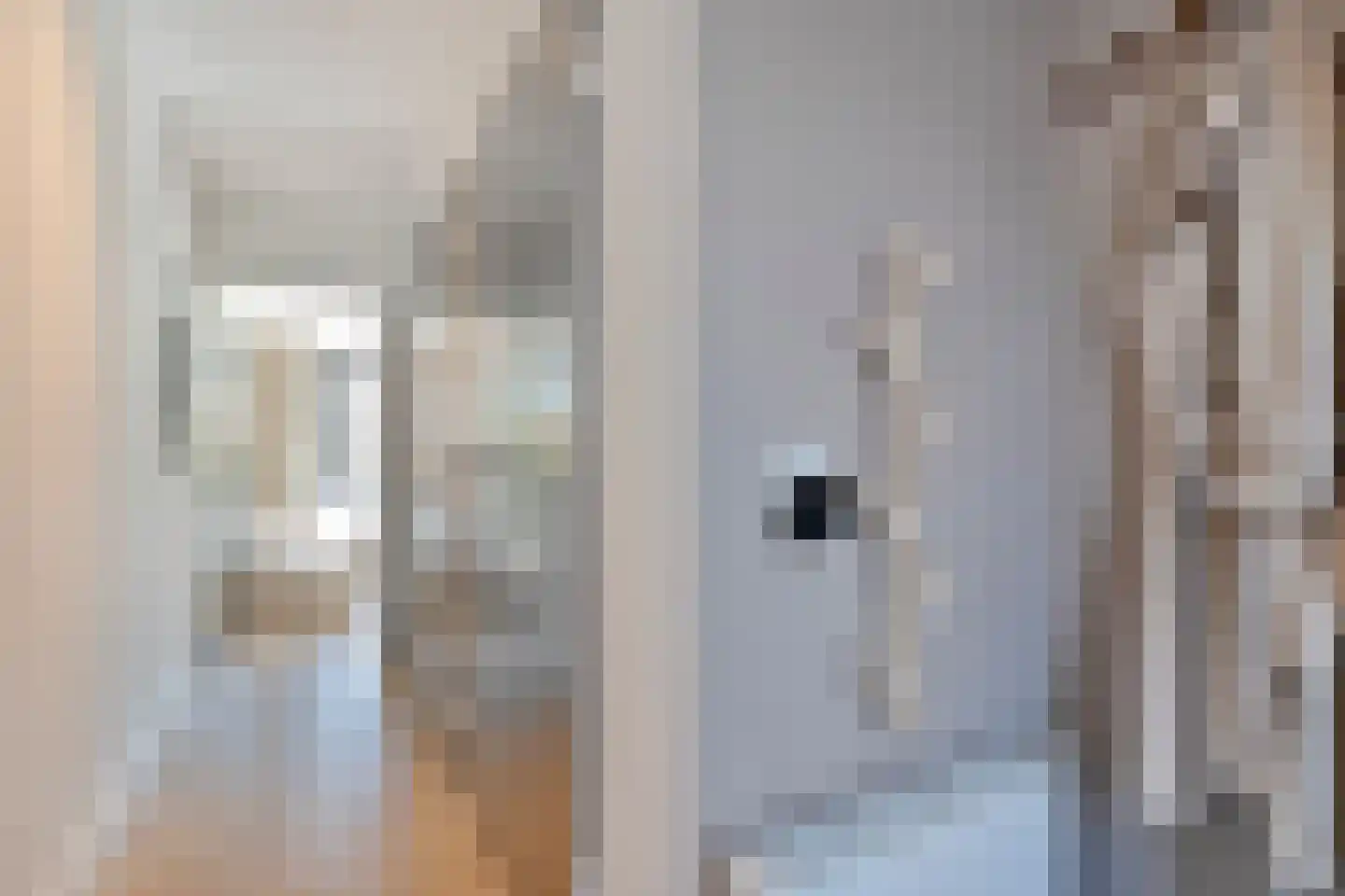 De Goeijenmarke 57 Zwolle thumbnail 6