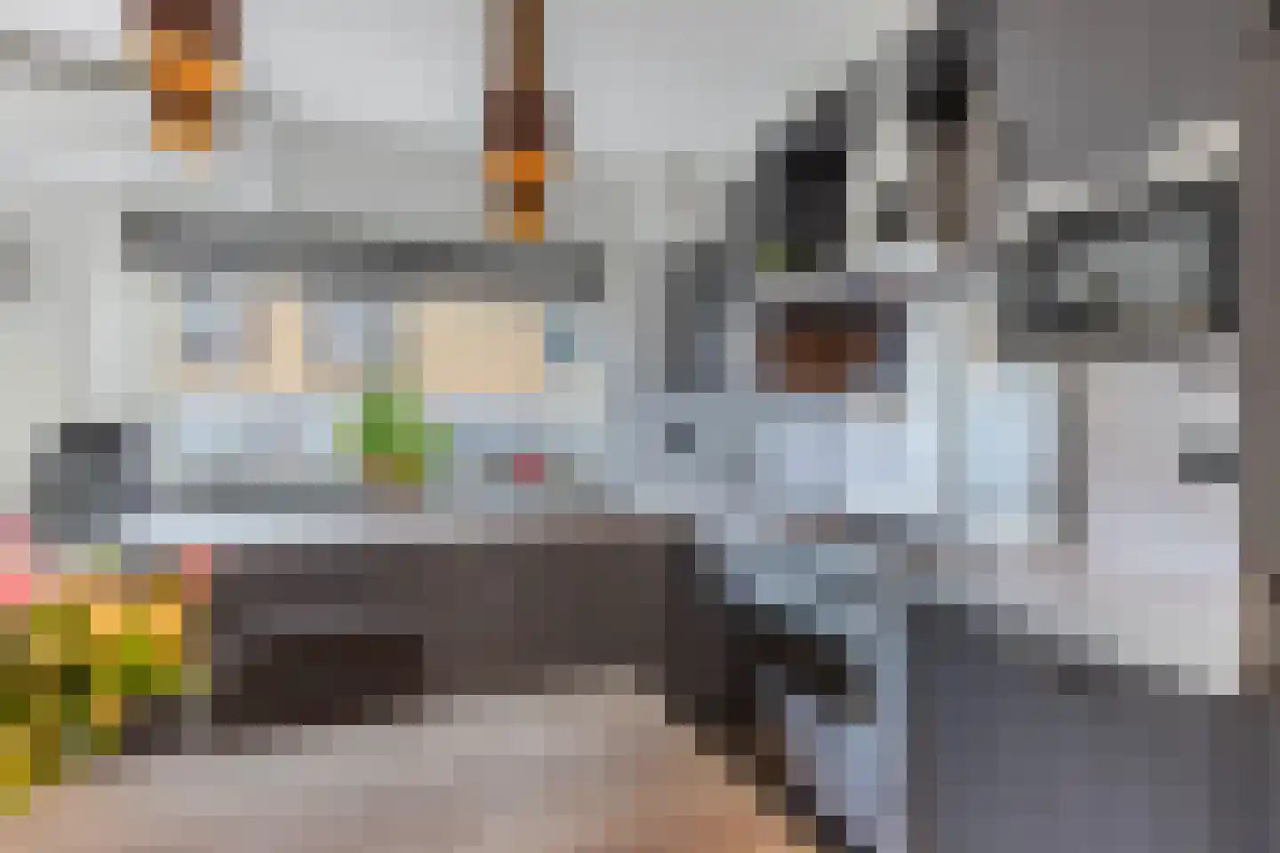 De Goeijenmarke 6 Zwolle thumbnail 18