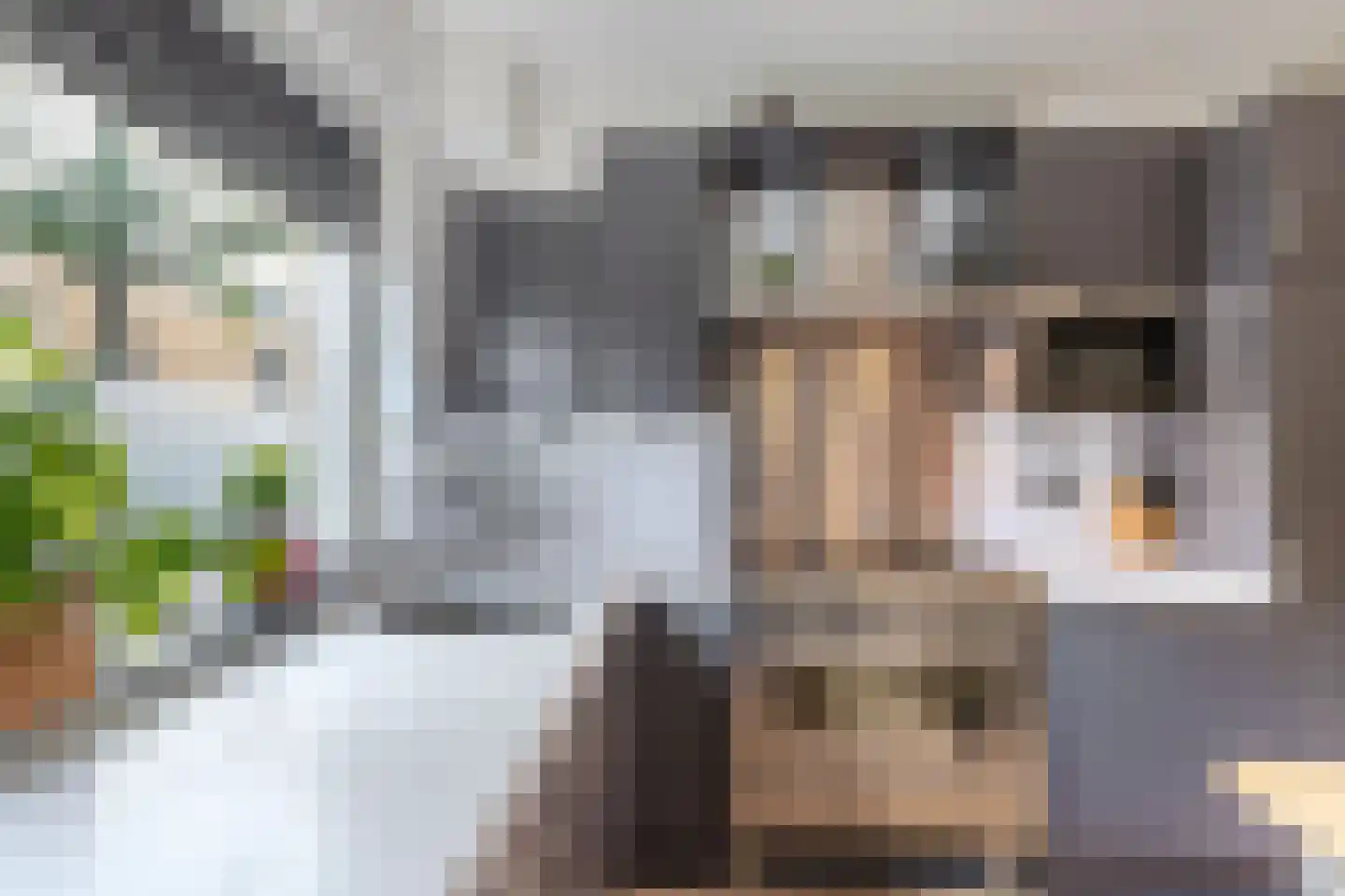 De Goeijenmarke 6 Zwolle thumbnail 20