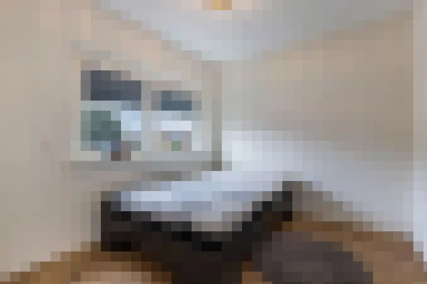De Goeijenmarke 6 Zwolle thumbnail 24