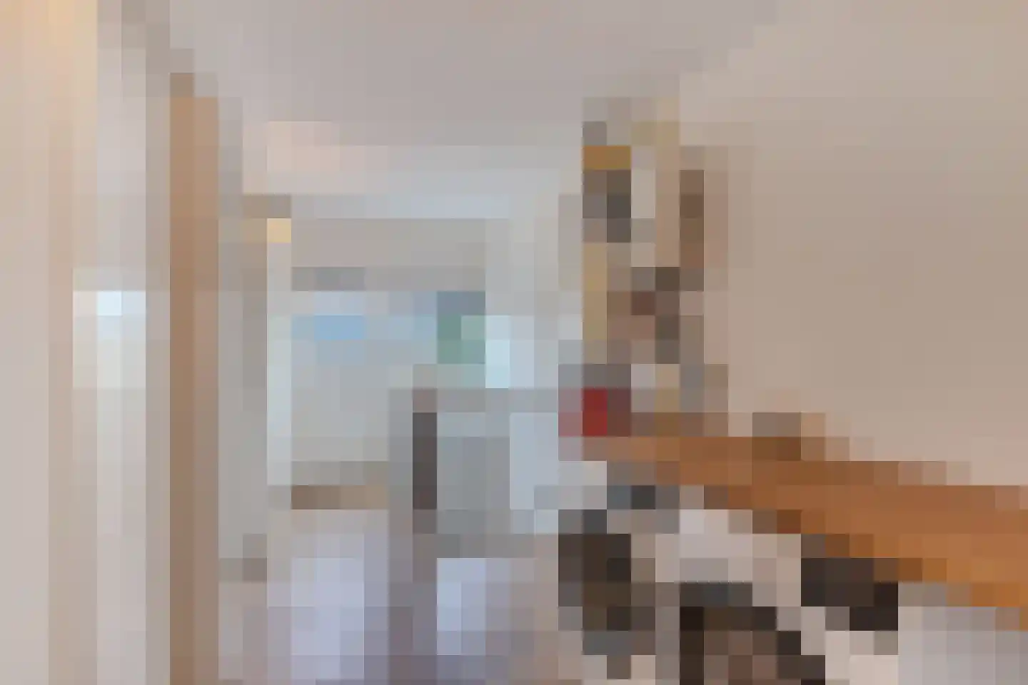 De Goeijenmarke 6 Zwolle thumbnail 33