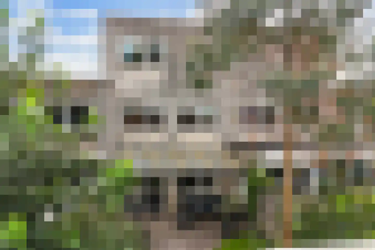 De Goeijenmarke 6 Zwolle thumbnail 42