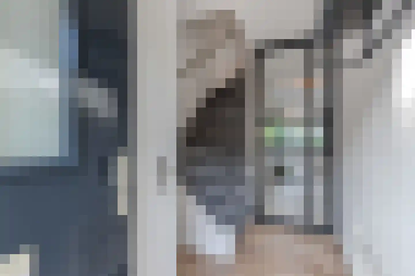 De Goeijenmarke 6 Zwolle thumbnail 7
