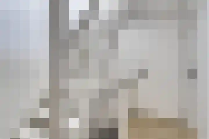 De Goeijenmarke 63 Zwolle thumbnail 13
