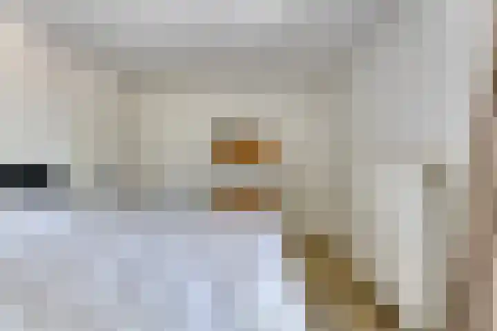 De Goeijenmarke 63 Zwolle thumbnail 18