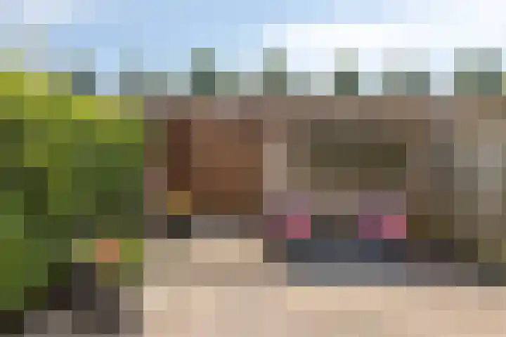 De Goeijenmarke 63 Zwolle thumbnail 27
