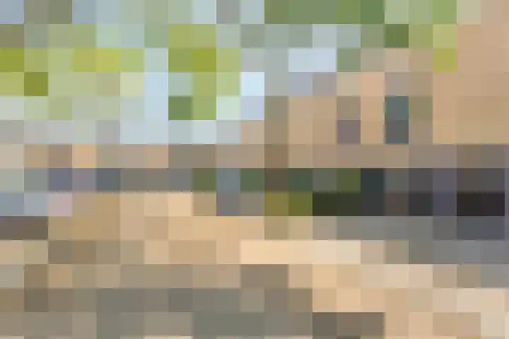 De Goeijenmarke 63 Zwolle thumbnail 32